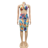 SC Sexy Print Halter Top And Skirt Two Piece Sets BY-5163