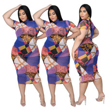 SC Plus Size Fashion Printed Sexy Mesh Dress BYMF-60862