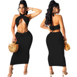 SC Fashion Sexy Solid Color Halter Top Long Skirt Two Piece Set WY-86784