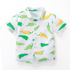 SC Boys' Print Short Sleeve Shirt Shorts Casual Two Piece Set YKTZ-2608