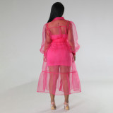 SC Sling Dress Single-breasted Mesh Dress 2 Piece Set MIL-L460