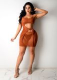 SC Sexy Mesh See-through Lace-up Mini Dress BS-1343