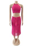 SC Tassel Fishnet Knitted Casual Two Piece Skits Set OSM-4387