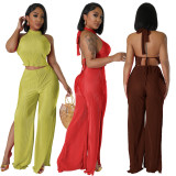 SC Solid Backless Tops And Split Pants Two Piece Set YD-8725-H