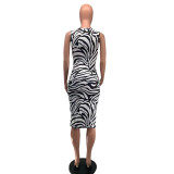 SC Zebra Print Sleeveless Midi Dress GDNY-DP1014