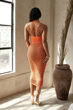 SC Sexy Backless Bodysuit And Hollow Out Skirts Knits Two Piece Set ZSD-0265