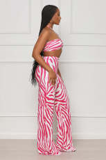 SC Sexy Print Tube Tops And Straight Pants Two Piece Set ANDF-1533
