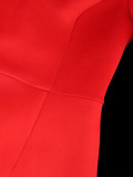 SC Plus Size Stand Collar Flare Sleeve Dress GKEN-221202