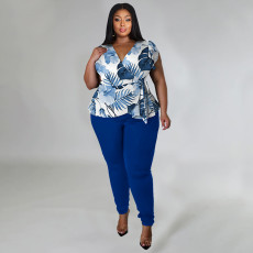 SC Plus Size Casual Print V Neck Tops And Pants Two Piece Set NNWF-7849