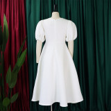 SC Plus Size Fashion V-neck Bubble Sleeve Dress GATE-D362