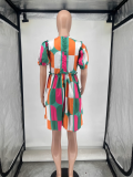SC Plus Size Casual Print Zipper Loose Dress WAF-77586