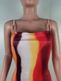 SC Fashion Contrast Color Print Sling Maxi Dress LSL-6518