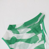 SC Fashion Print Irregular Mesh Dress Bikinis Three Piece Set CYA-900528