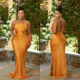 SC Sexy Solid Backless Halter Maxi Dress BY-C6636
