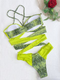 SC Snake Print Color Blocking Bikinis Two Piece Swimsuit CASF-6560