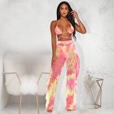 SC Sexy Print Bra And Mesh Pant Two Piece Set(Without Underpant) TE-4637