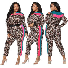 SC Leopard Print Color Block Zipper Two Piece Pants Set GDNY-2247