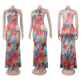 SC Plus Size Print Sleeveless Backless Maxi Dress NY-2766