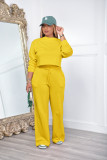 SC Solid Color Sweatshirt And Pants Thickened 2 Piece Set AIL-253