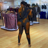 SC Printed Stripe Drawstring Skinny 2 Piece Pants Suit NY-2869