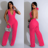 SC Deep V Neck Backless Halter Jumpsuit BY-6737