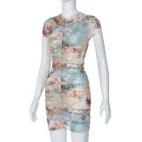 SC Mesh Printed Pleated Mini Dress BLG-D3613246K