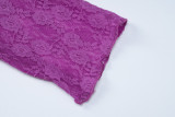 SC Lace Patchwork See Through Backless Mini Dress BLG-D3B14821K
