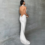 SC Sexy Backless Pleated Hanging Neck Dress BLG-D3713302K