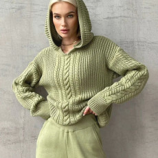 SC Fashion Hooded Long Sleeve Knit Sweater BLG-T3713479A