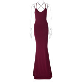 EV ESexy Backless Tie Up Pleated Maxi Dress BLG-D3914151K