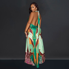 SC Print Halter Tie Up Backless Maxi Dress BY-6763