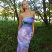 SC Fashion Print Backless Tube Top Maxi Dress BLG-D3512628K