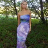 SC Fashion Print Backless Tube Top Maxi Dress BLG-D3512628K