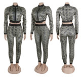 SC Fashion Print Long Sleeve Zipper Two Piece Pant Set NY-10702