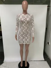 SC See-through Sexy Zipper Slit Club Dress ME-795