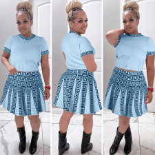 SC Fashion Print Patchwork Knit Pleated Skirt Two Piece Set LA-3340