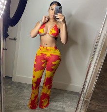 SC Sexy Printed Swimsuit Mesh 3 Piece Set(With Panties) BGN-163