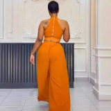 SC Pleated Sleeveless Tops Wide Leg Pants 2 Piece Set NY-10773