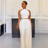 SC Pleated Sleeveless Tops Wide Leg Pants 2 Piece Set NY-10773