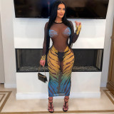 SC Print See Through Long Sleeve Mesh Maxi Dress CYA-901179