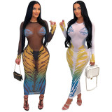 SC Print See Through Long Sleeve Mesh Maxi Dress CYA-901179