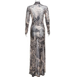 SC Mesh Print See Through Maxi Dress DLSF-23D33779