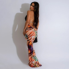 SC V Neck Backless Print Maxi Dress CYA-901202