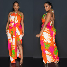 SC Backless Print Tie Up Halter Maxi Dress BY-6921