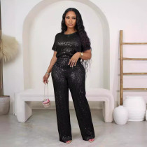 SC Fashion Sequin Short Sleeve Pants 2 Piece Set OD-8614