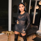 SC Mesh Long Sleeve Mini Dress GAXB-A245DS
