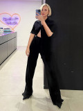 SC Loose Pleated Shirts Wide Leg Pants Two Piece Set MIL-126