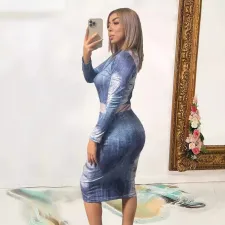 SC Fashon Print Long Sleeve Midi Dress GYSF-1089