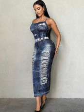 SC Sexy Print Backless Hang Neck Long Dress GADE-5946