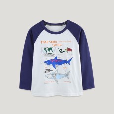 SC Kids Boys Print Color Block T Shirt GASD-5373